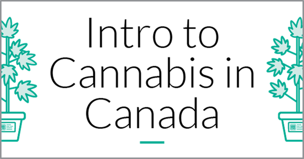 The Intro to Cannabis in Canada course thumbnail